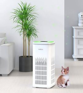 Máy Lọc Không Khí Mini 2025